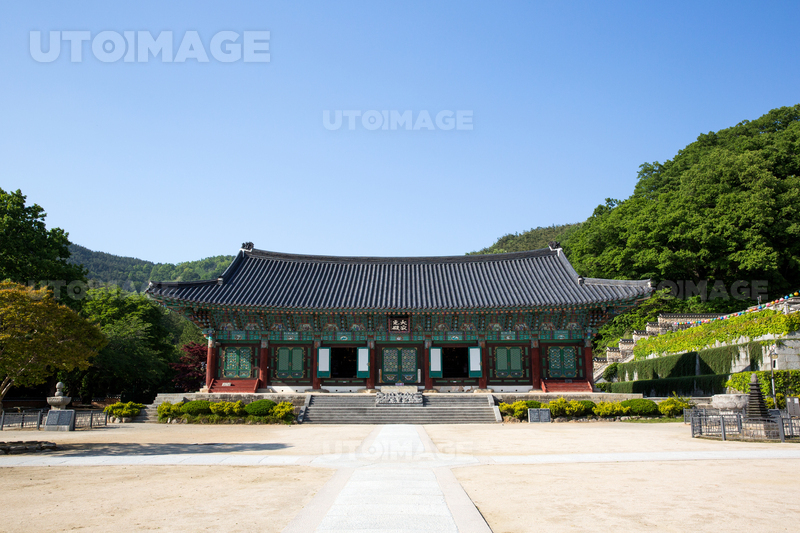 프리진 - 스톡 이미지, 사진, 일러스트, 벡터, 웹디자인. 이미지 사이트