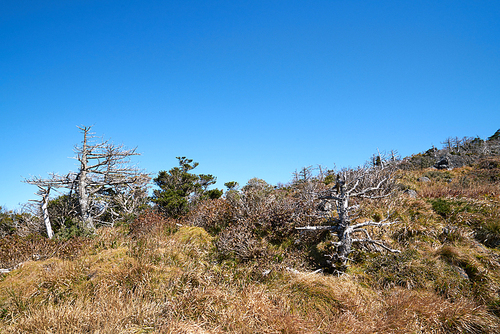 한라산,제주도,한국