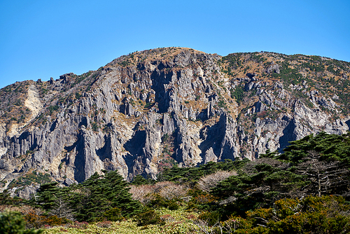 한라산,제주도,한국