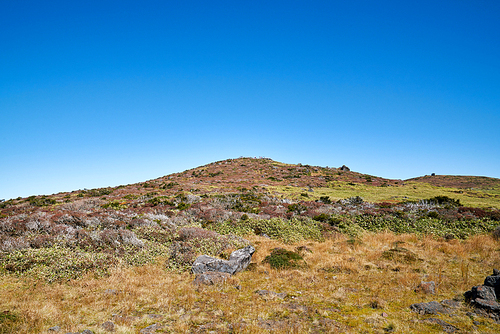 한라산,제주도,한국