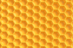 벌집 hive 꿀