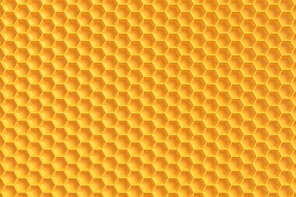 벌집 hive 꿀