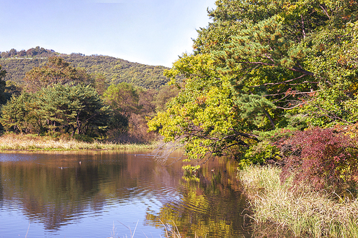 가을의 호수