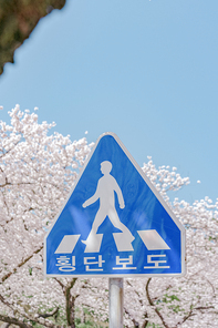 표지판