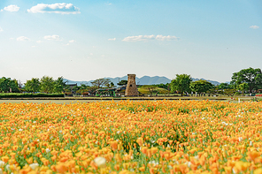 첨성대