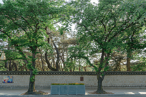 돌담길