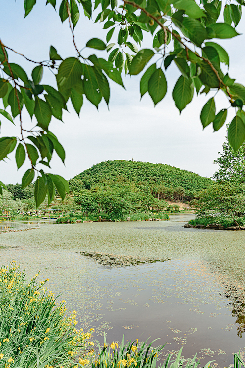 화랑의 언덕