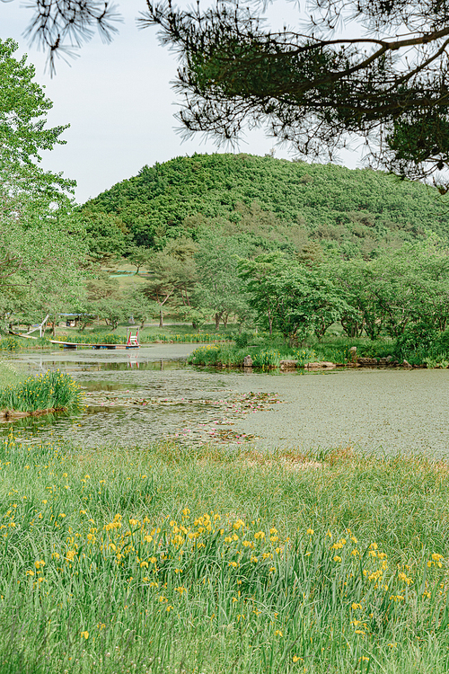 화랑의 언덕