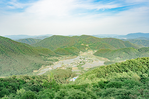 화랑의언덕