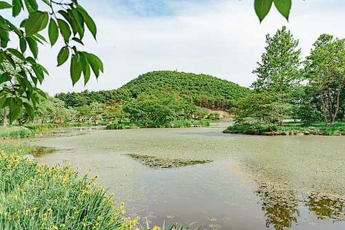 화랑의 언덕