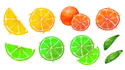 오렌지-라임-레몬 수채화 그림