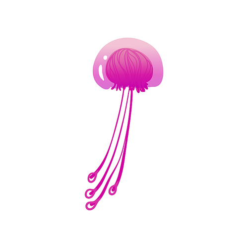 Beautiful glossy pink sea jellyfish with tentacles, wild underwater animal. Isolated flat vector illustration of a tropical jellyfish from the ocean.