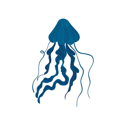 Cartoon blue jellyfish isolated on white background - hand drawn sea animal with dark color and long flowing tentacles - aquatic creature vector illustration.