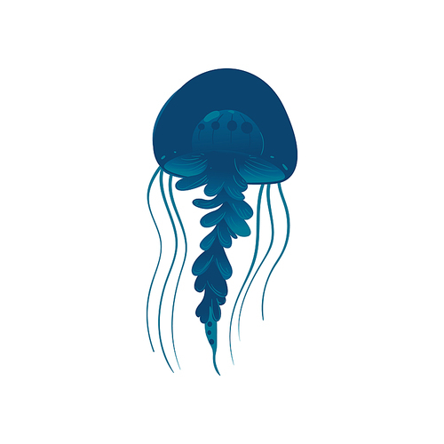 Wildlife sea or ocean design element the beautiful jellyfish swimming in the sea. Undersea dangerous creature, cartoon vector illustration isolated on white background.