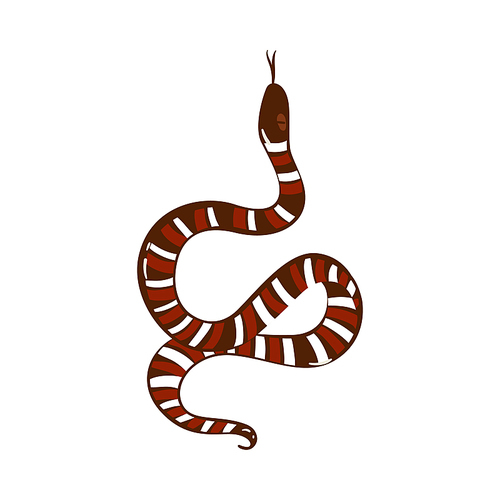 Cartoon snake drawing with brown and white stripes showing tongue - hand drawn serpent animal isolated on white background - flat vector illustration.