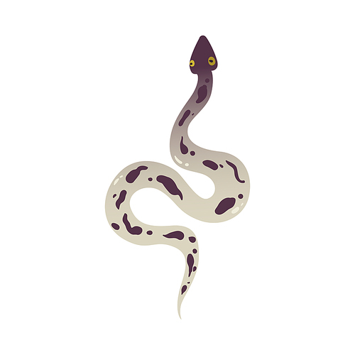 Gray poisonous snake with spots and wild animal python. The concept of poisonous and dangerous reptile snakes. Isolated vector flat snake illustration.