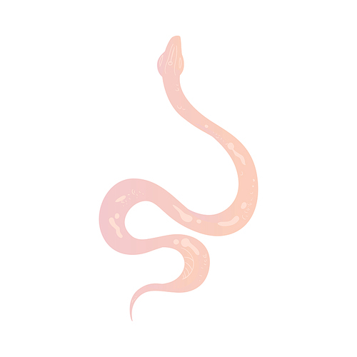 Cute light pastel pink snake drawing isolated on white background - cartoon reptile with curving body in hand drawn style. Exotic serpent vector illustration