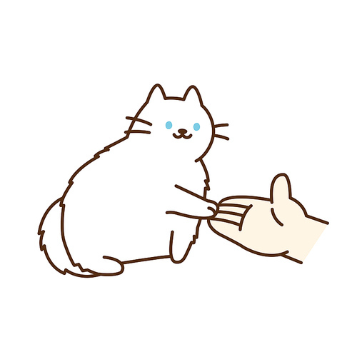 흰 고양이가 사람손위에 고양이손을 올리고 있다.