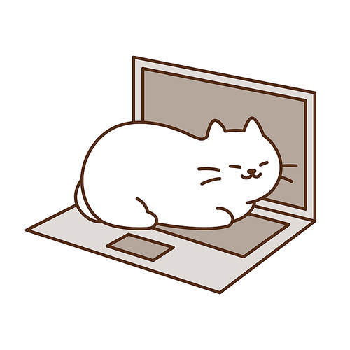 노트북위의 고양이