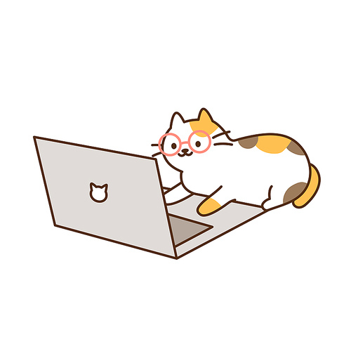 안경을쓰고 컴퓨터를 하는 똑똑한 고양이