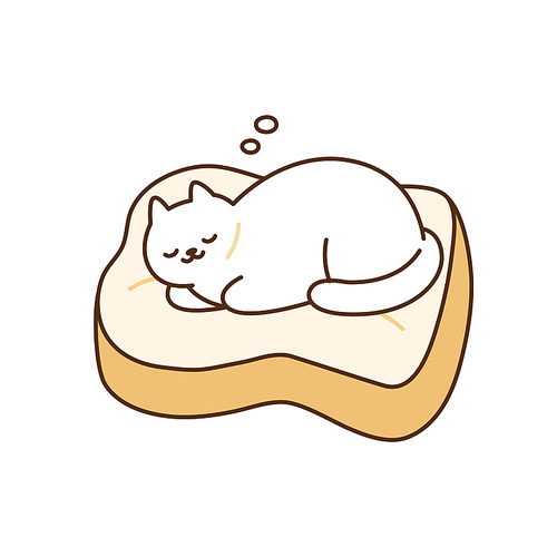 식빵 쿠션 위에서 잠든 고양이