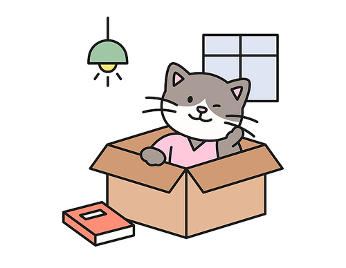 방안에 종이상자속에 들어가 편안한 표정을 하는 고양이