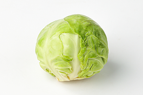 양배추, 미니양배추, 작은양배추, cabbage, mini cabbage, small cabbage