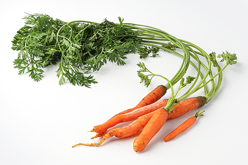 당근, 미니당근, 작은당근, carrot, mini carrot, small carrot