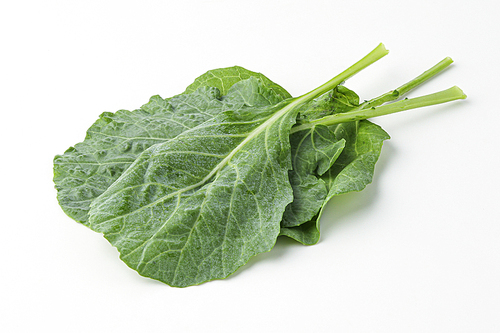 케일, kale, kail, leaf cabbage