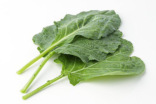 케일, kale, kail, leaf cabbage