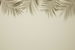 유리병 꽃 야자수 나무가 있는 자연스러운 그림자 배경