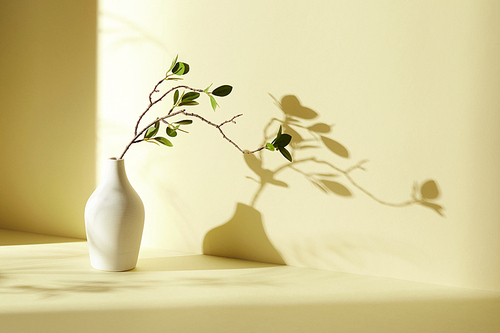따스한 햇살이 비치는 풀잎 그림자, 테이블 위 꽃병, 컵, 다양한 오브제들이 있는 방