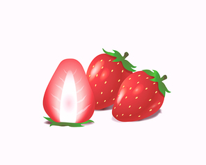 딸기 과일 strawberry