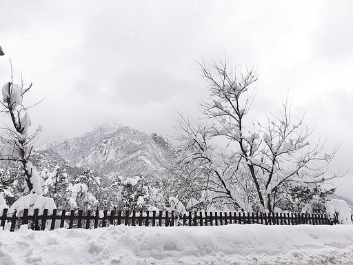한국의 겨울산 설경, 설악산