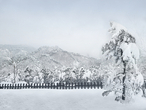 한국의 겨울산 설경, 설악산