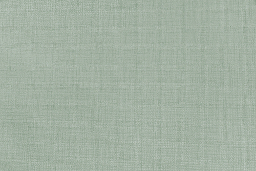 연한 녹색 캔버스 프레임의 실크 종이 벽지 질감 텍스처