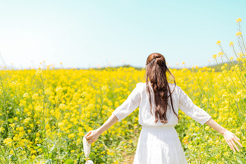 유채꽃이 만개한 꽃밭을 양팔을 벌리며 걸어가는 흰색 원피스를 입은 여성의 뒷모습