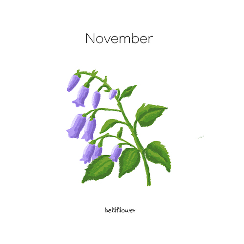 11월 탄생화 초롱꽃 손그림