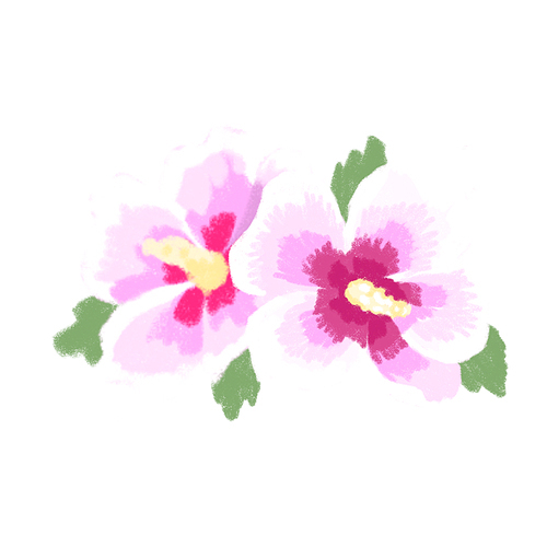 무궁화 꽃 3