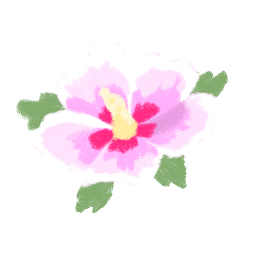 무궁화 꽃 2