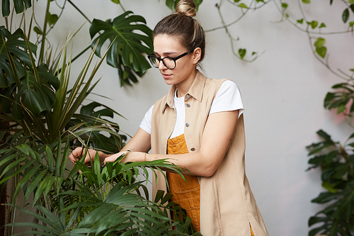 Young woman in eyeglasses caring about leaves of big green plants in home garden