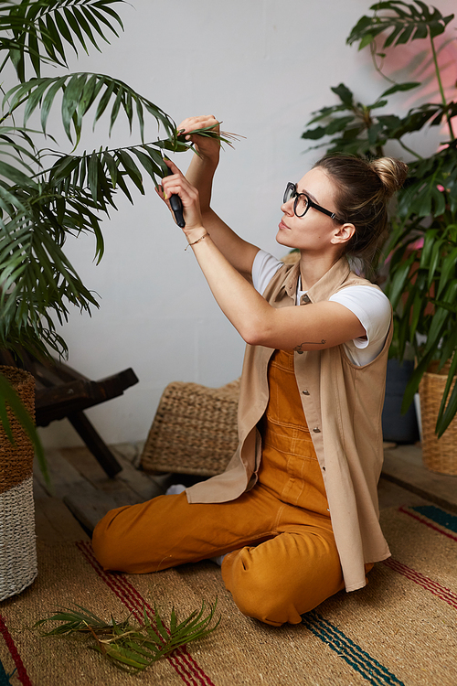 Young woman in eyeglasses sitting on the floor and cutting old branch with scissors she caring about plant