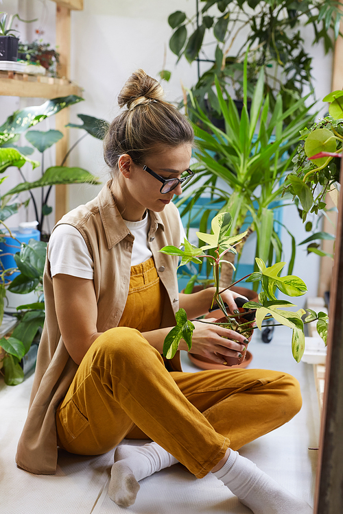 Young florist in eyeglasses sitting on the floor holding flower in the pot in her hands and looking at it