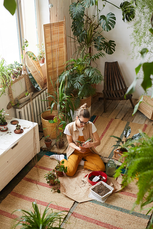 High angle view of young florist busy with her hobby she sitting on the floor and planting flowers in pots