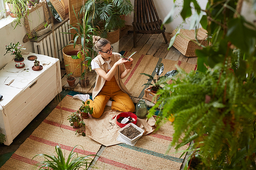 High angle view of young woman sitting on the floor and busy with transplantation of flowers and plants in the flower garden
