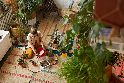 High angle view of young florist sitting on the floor and planting flower in the pot in the flower garden