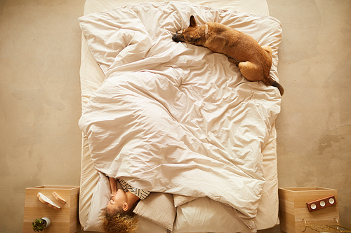 High angle view of young woman sleeping in bed with her dog in the bedroom at home