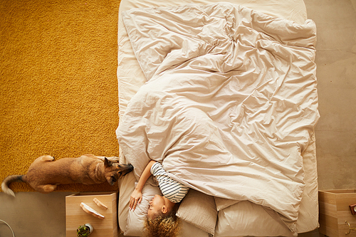 High angle view of young woman sleeping in bed with dog lying near her and waiting for her awaking in bedroom