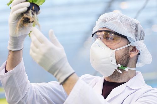 Close-up of botanist in protective mask examining plant in his hands while working in the lab