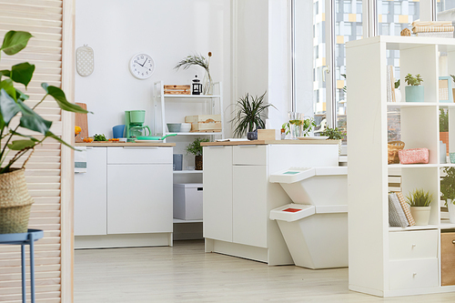 Image of cosy domestic kitchen with white furniture